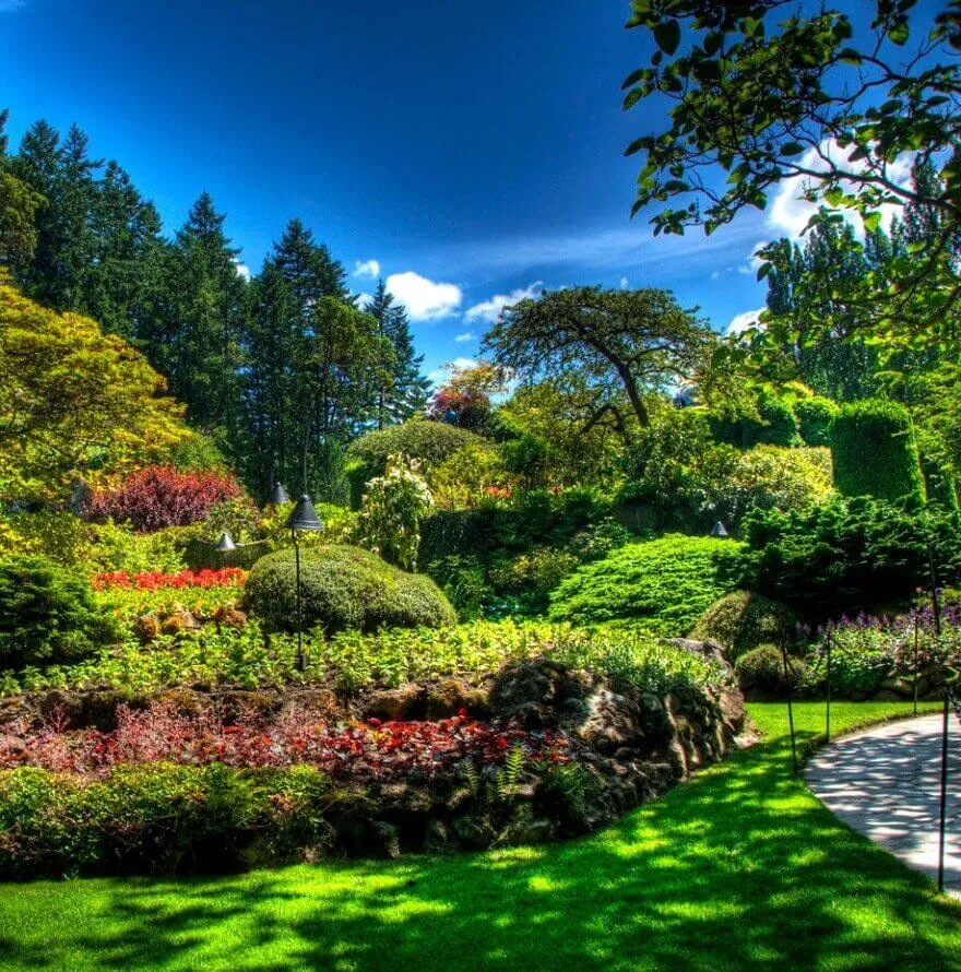 Beautiful Garden Wallpaper | Indus Appstore | Screenshot