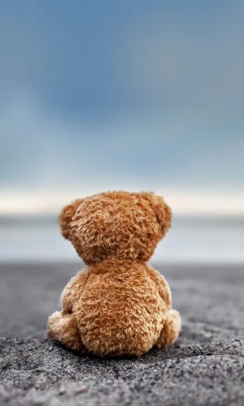 Teddy Bear Wallpaper | Indus Appstore | Screenshot