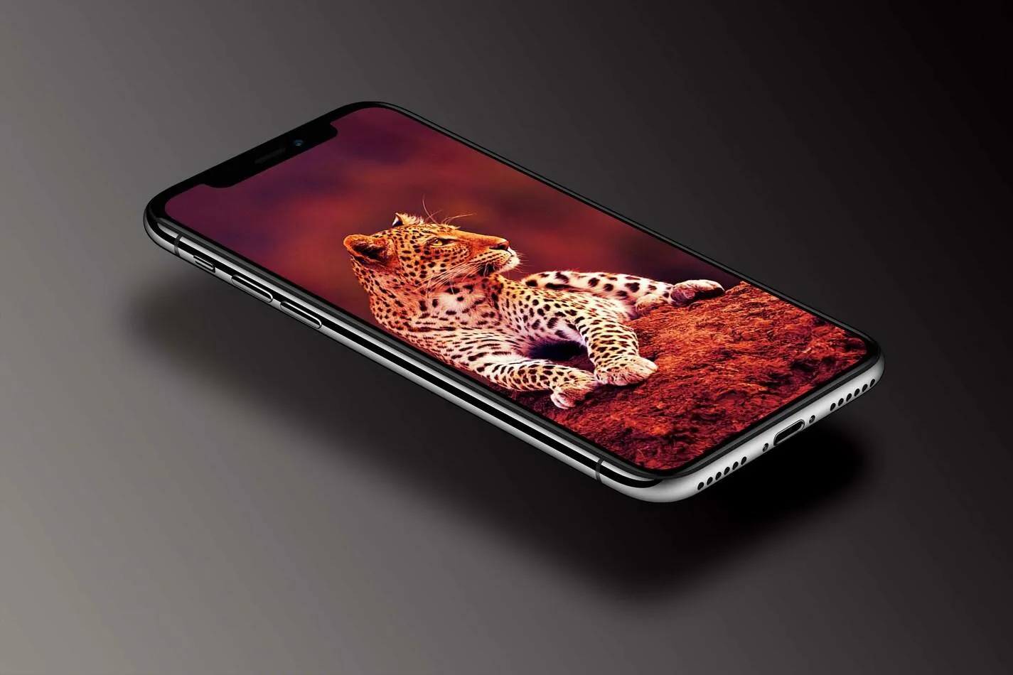 Leopard Wallpaper | Indus Appstore | Screenshot