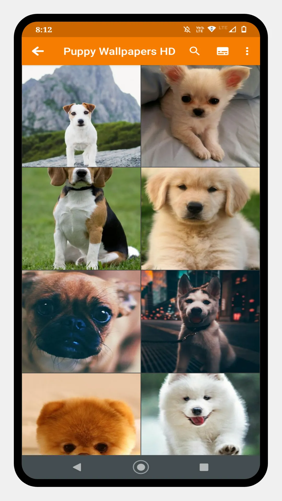 Cute Puppy Wallpaper | Indus Appstore | Screenshot