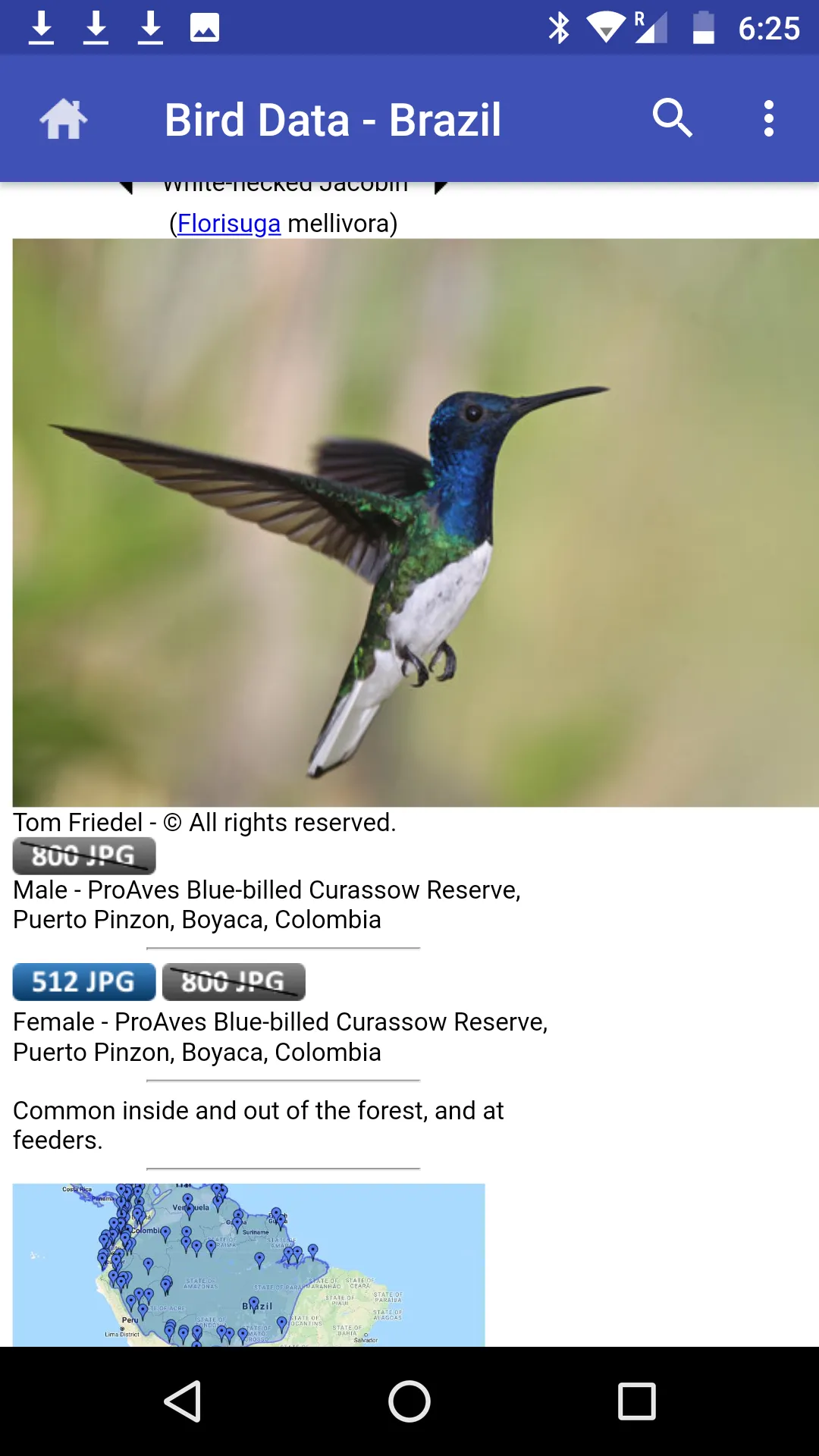 Bird Data - Brazil | Indus Appstore | Screenshot