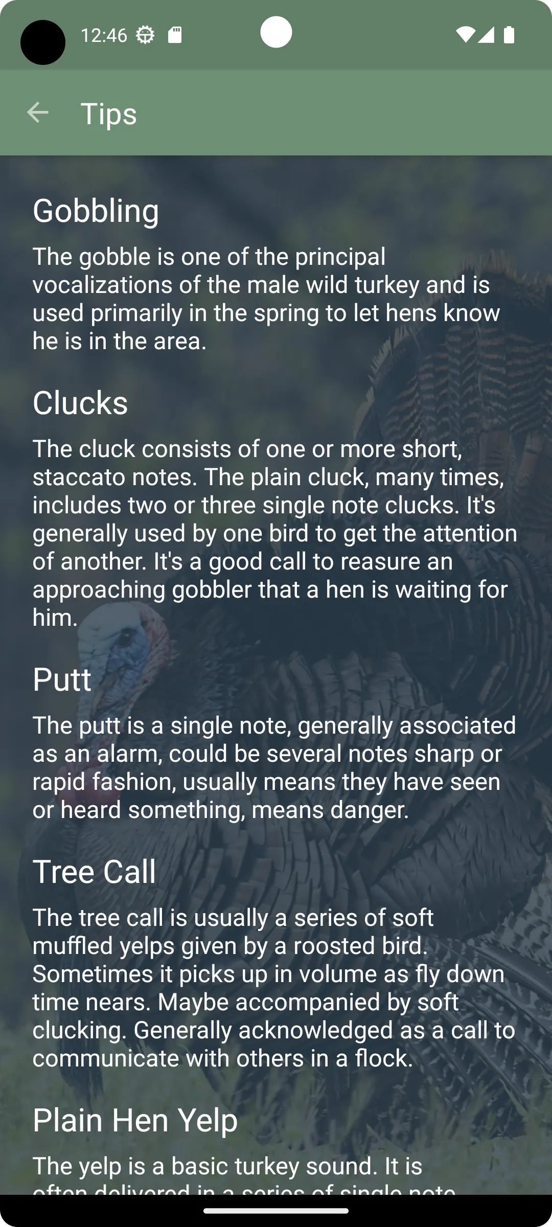 Turkey Calls | Indus Appstore | Screenshot