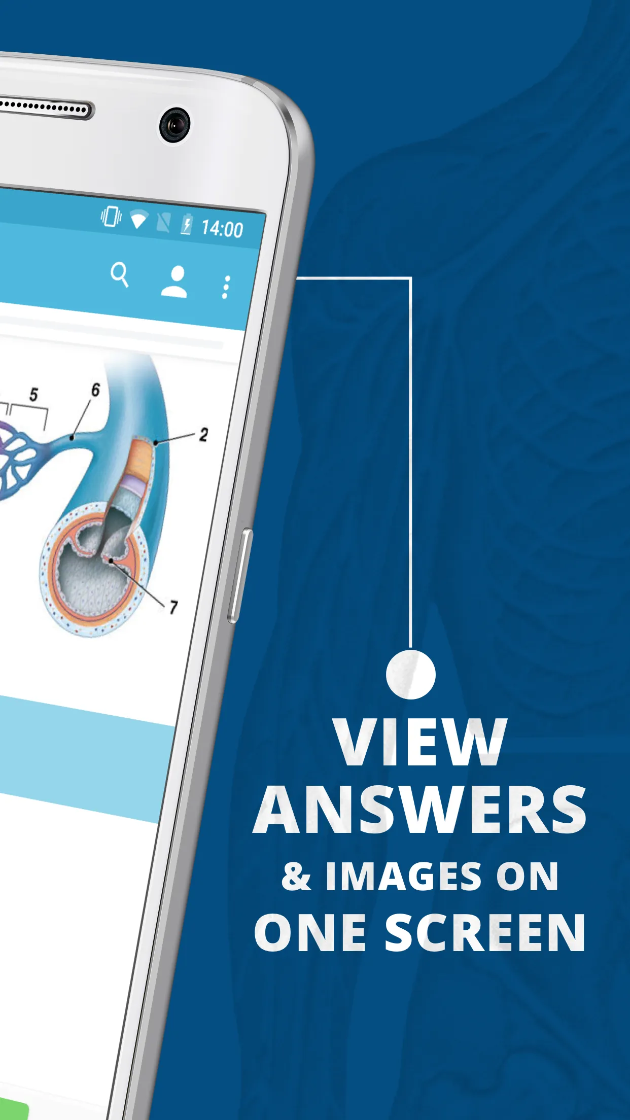 USMLE Clinical Anatomy | Indus Appstore | Screenshot