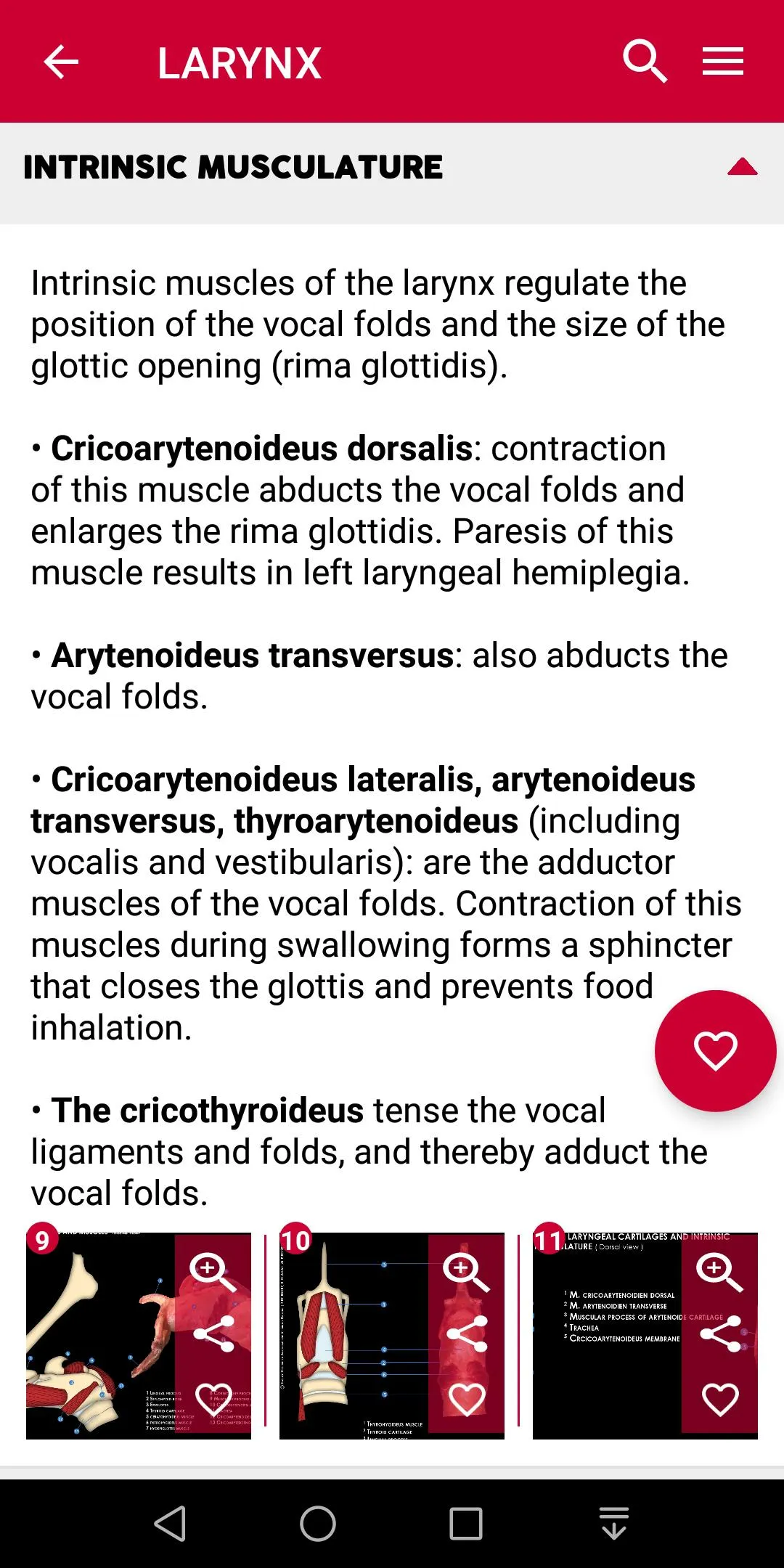 Equine Upper Respiratory Tract | Indus Appstore | Screenshot