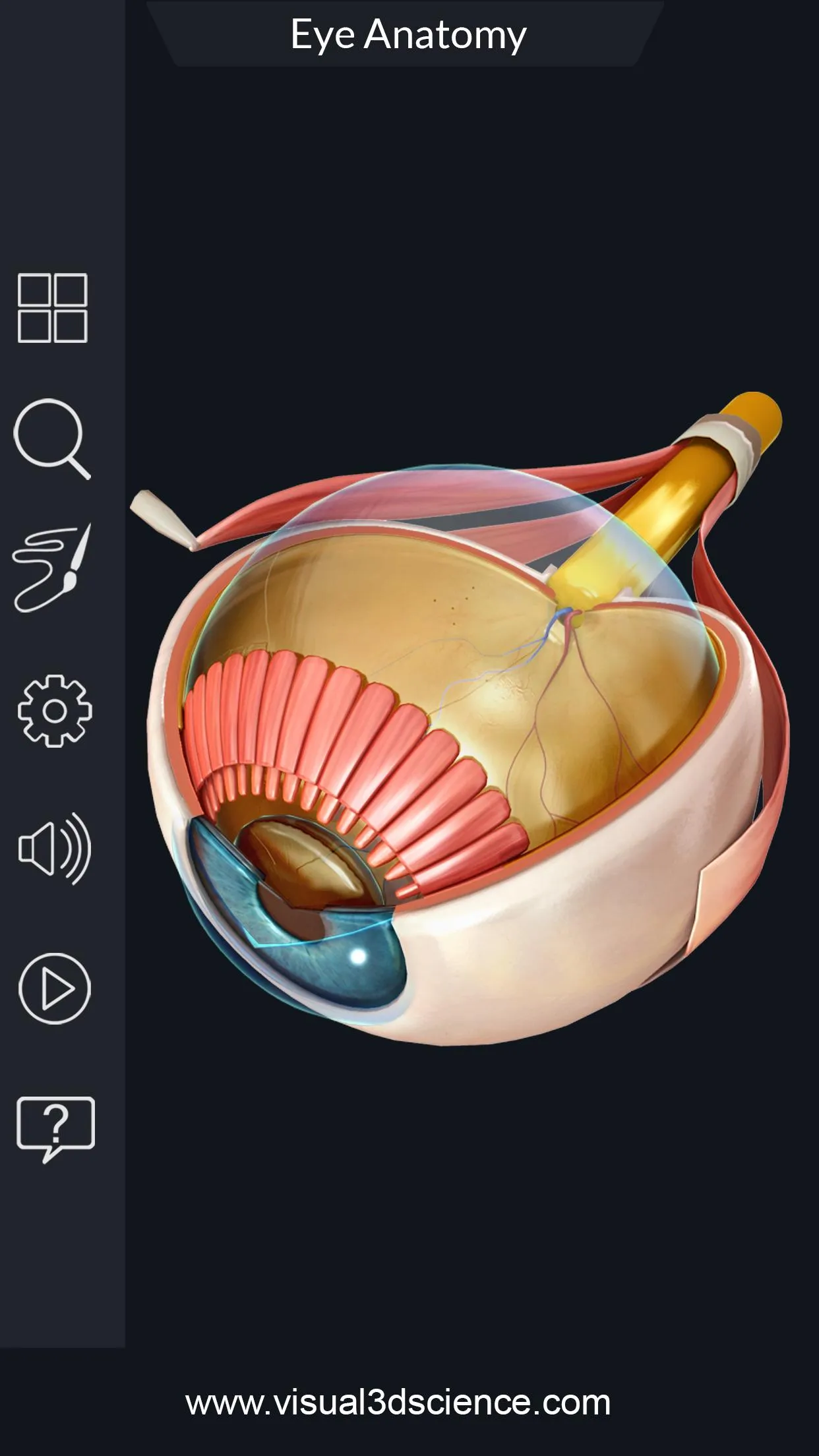 My Eye Anatomy | Indus Appstore | Screenshot