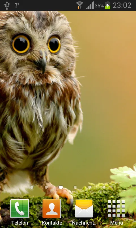 Owls Live Wallpaper | Indus Appstore | Screenshot