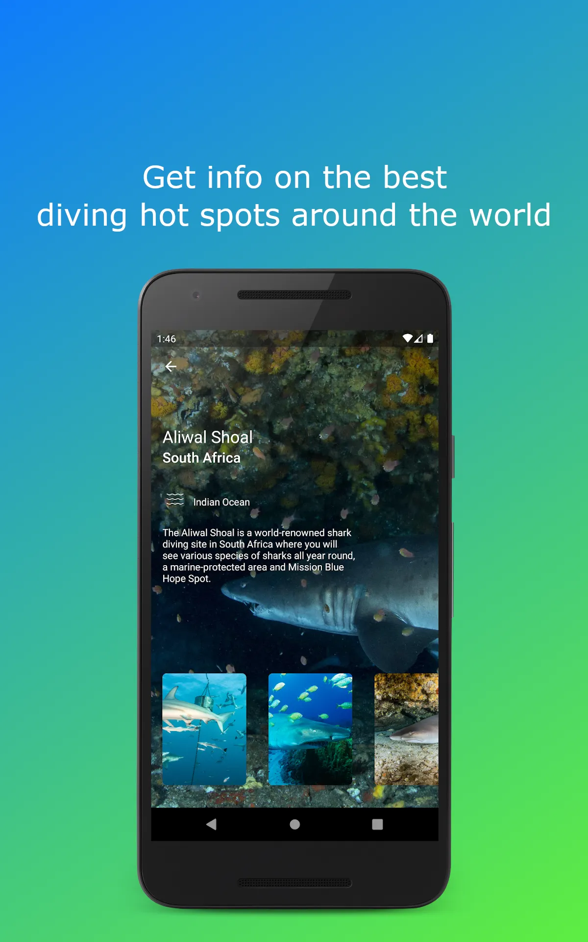 Orca - scuba diving community | Indus Appstore | Screenshot