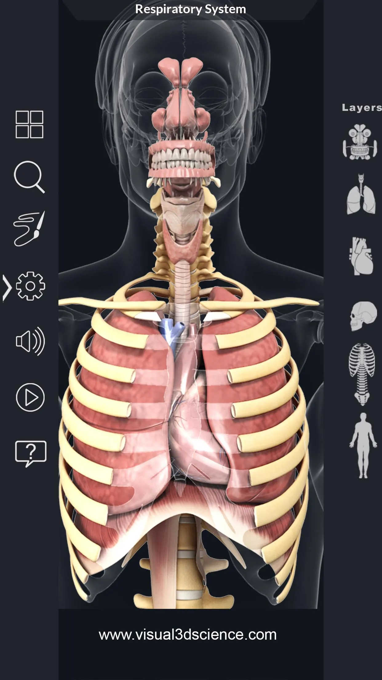 Respiratory System Anatomy | Indus Appstore | Screenshot