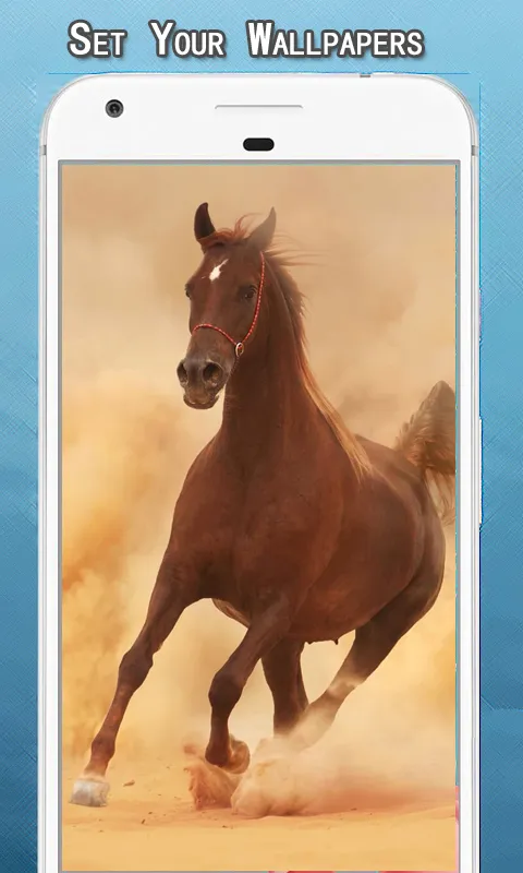 Horses Wallpapers Hd | Indus Appstore | Screenshot