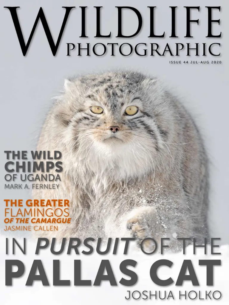 Wildlife Photographic Magazine | Indus Appstore | Screenshot