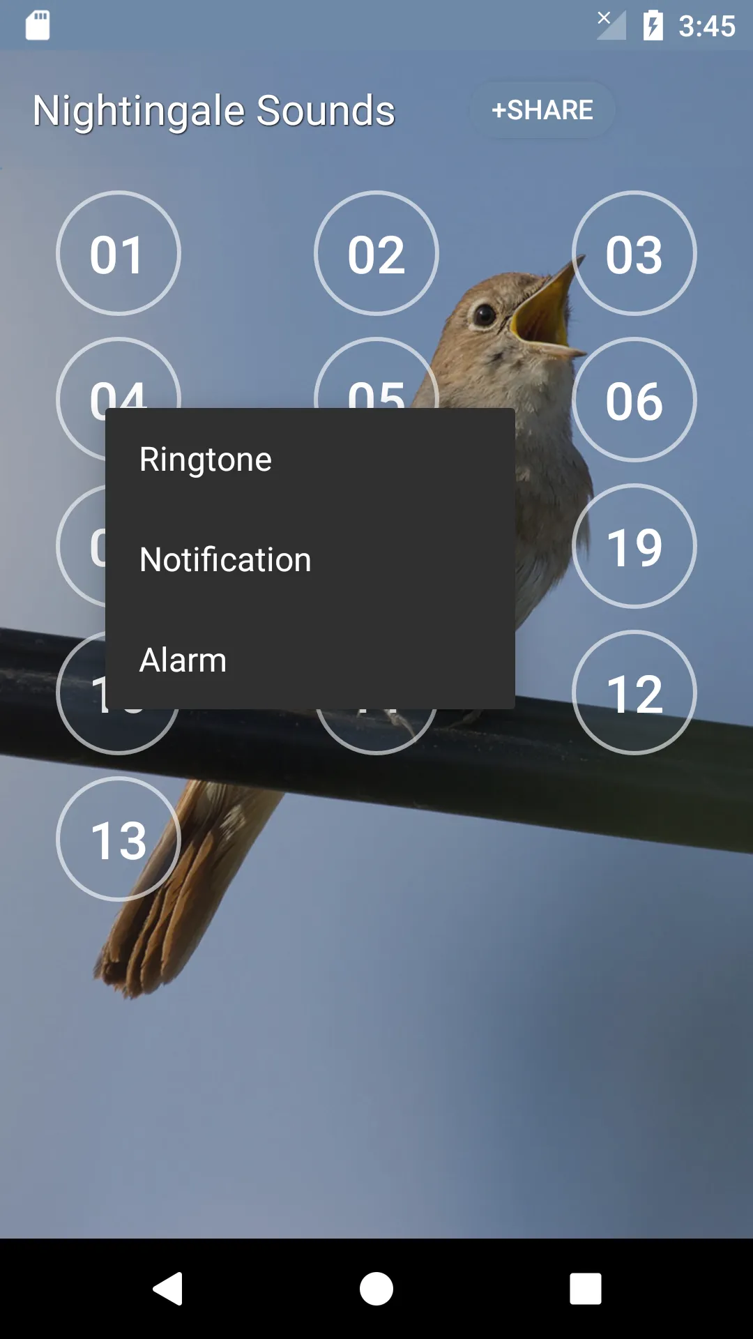 Nightingale Bird Sounds | Indus Appstore | Screenshot