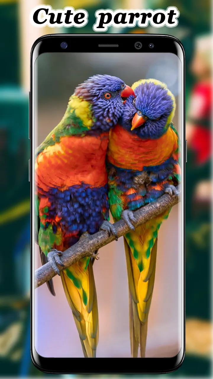 Cute Parrot Wallpaper | Indus Appstore | Screenshot