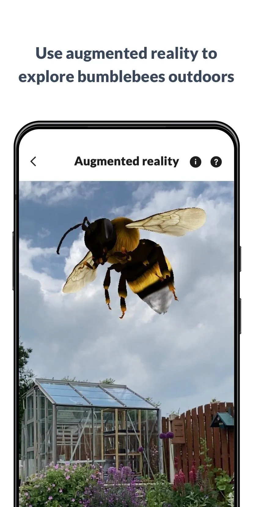 What’s that bumblebee | Indus Appstore | Screenshot