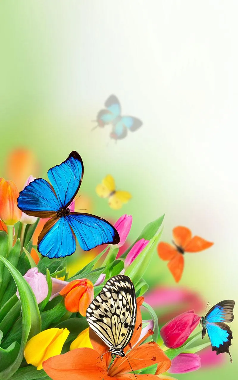 Butterfly Live Wallpaper | Indus Appstore | Screenshot