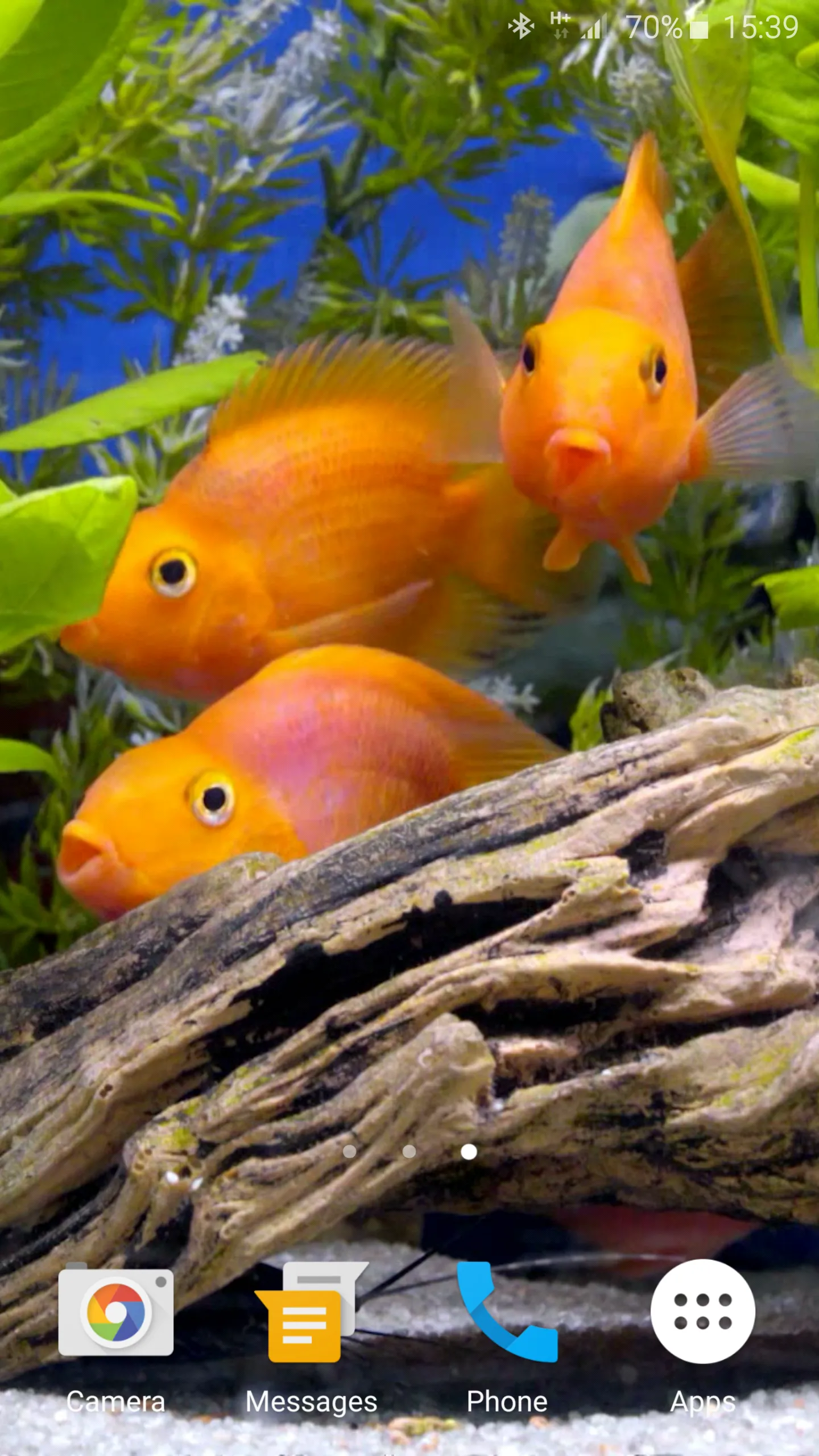 Aquarium 4K Live Wallpaper | Indus Appstore | Screenshot