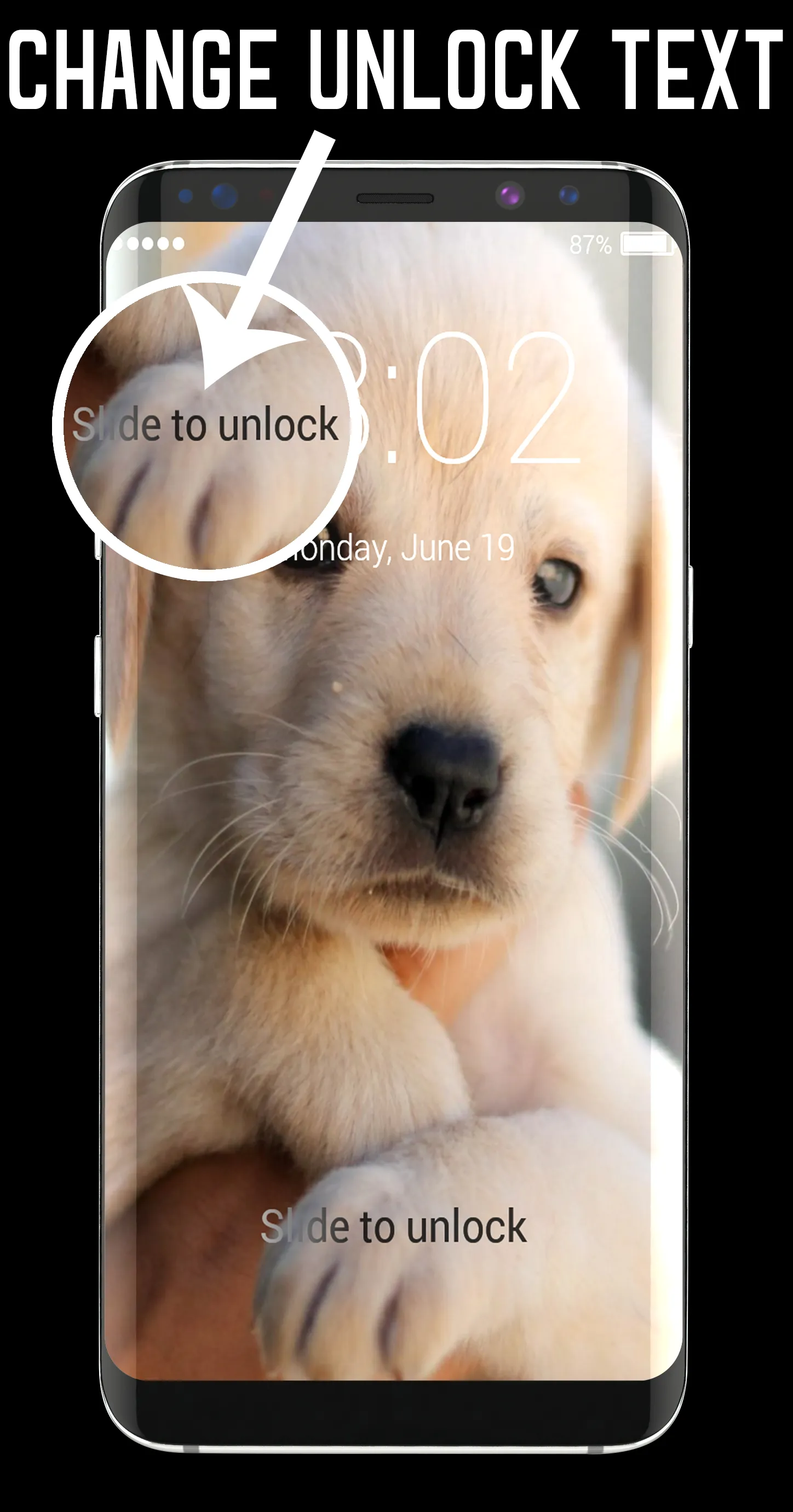 Labrador Retriever Lock Screen | Indus Appstore | Screenshot