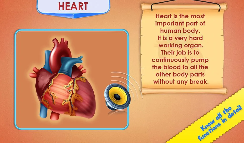 Human Body Parts - Kids Games | Indus Appstore | Screenshot