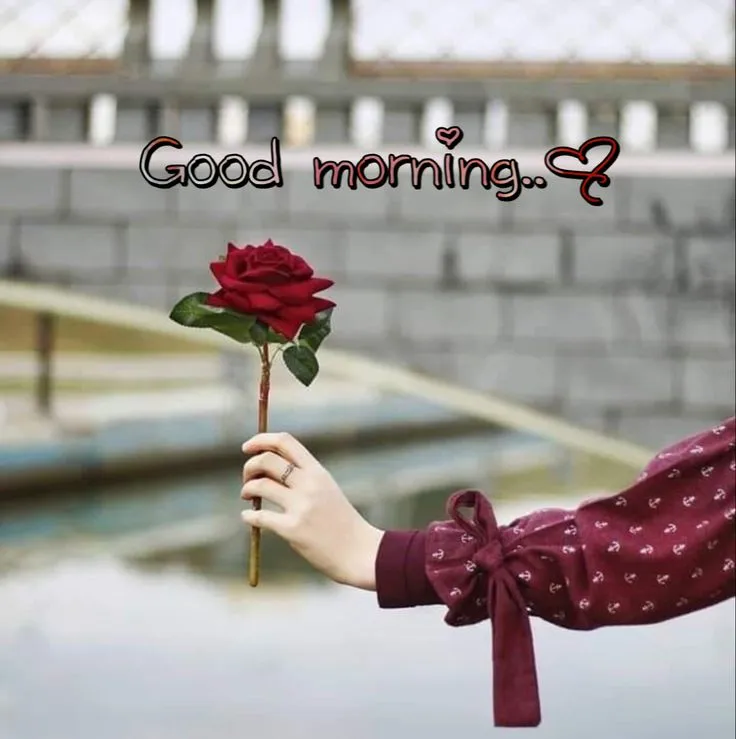 GoodMorning Images GIF 2023 | Indus Appstore | Screenshot