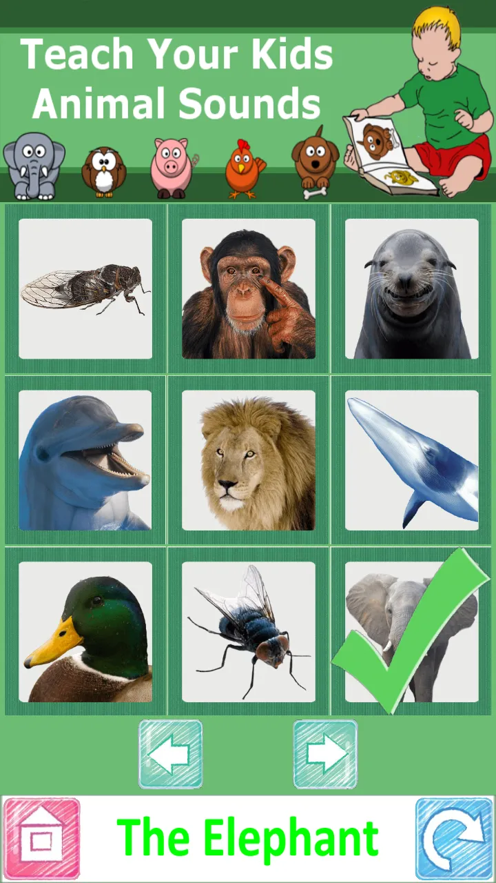 Teach Your Kids Animal Sounds | Indus Appstore | Screenshot