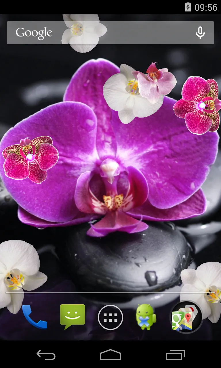 Orchid Live Wallpaper | Indus Appstore | Screenshot