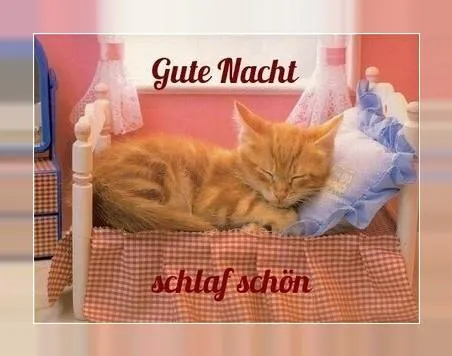 Gute Nacht Bilder für Whatsapp | Indus Appstore | Screenshot