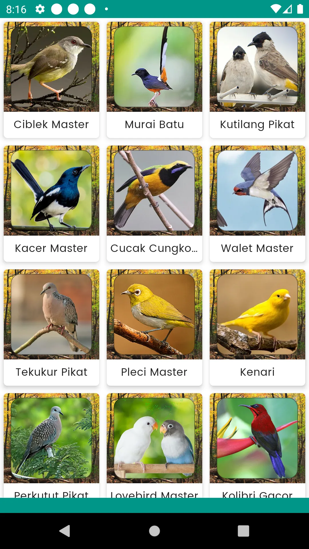 Suara Burung Murai Batu Jantan | Indus Appstore | Screenshot