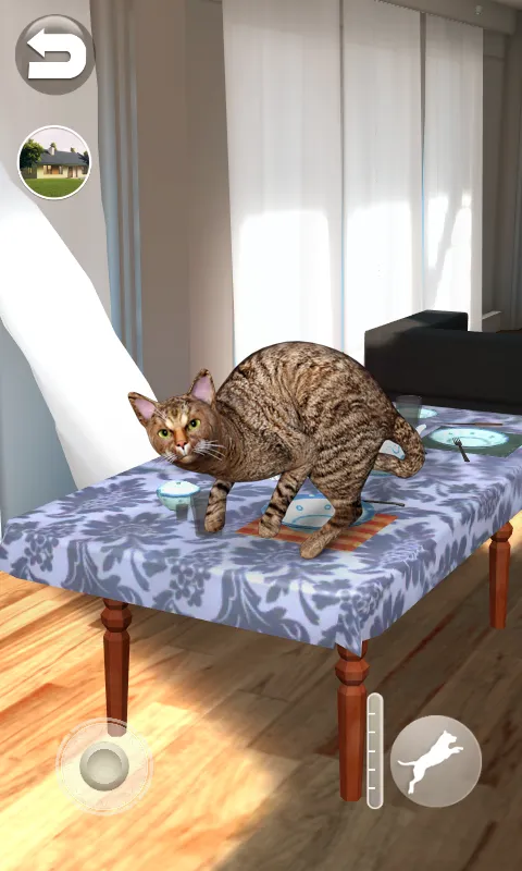 Talking Somali Cat | Indus Appstore | Screenshot