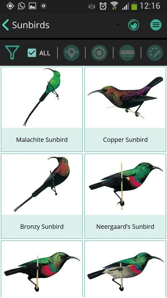 Newman's Birds LITE | Indus Appstore | Screenshot