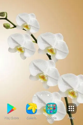 Orchid Wallpapers | Indus Appstore | Screenshot