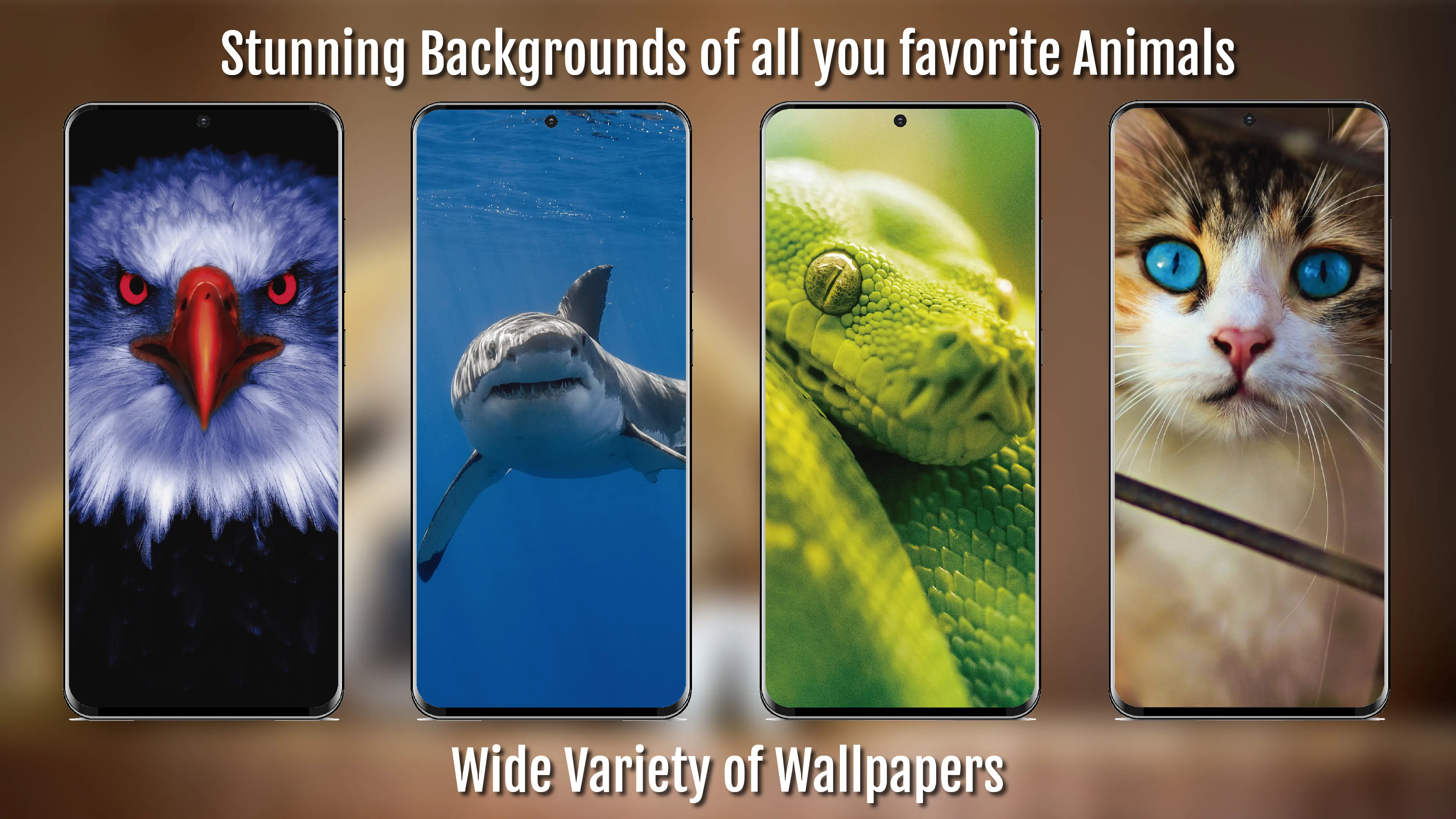 Animal Wallpapers Full HD / 4K | Indus Appstore | Screenshot