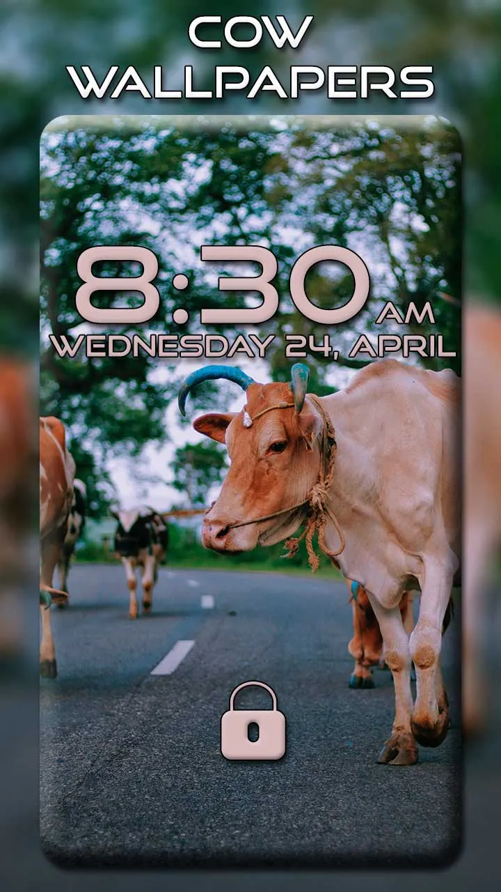 Cow Wallpapers | Indus Appstore | Screenshot