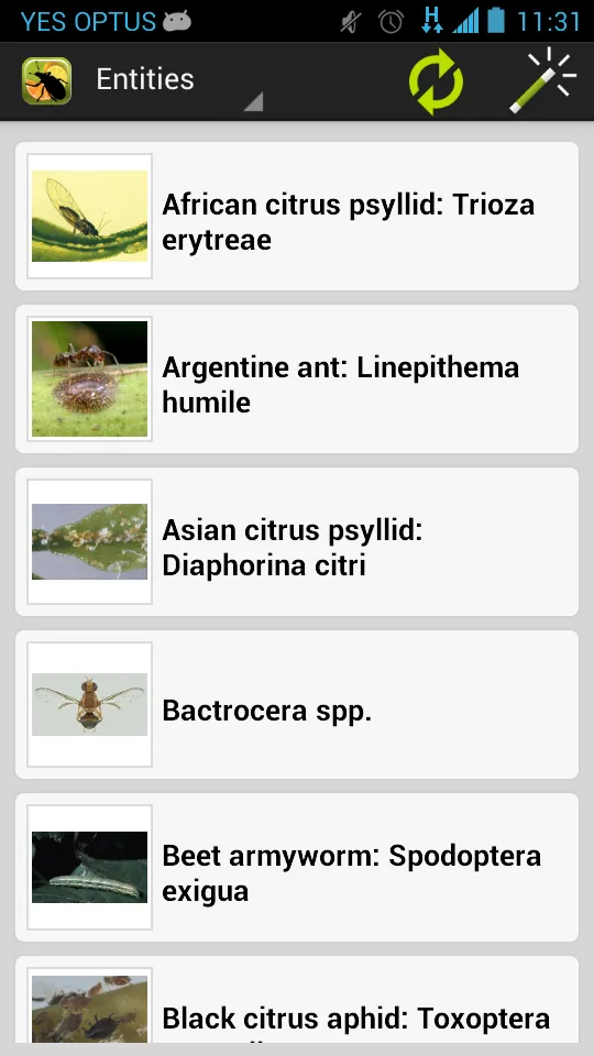 Citrus Pests Key | Indus Appstore | Screenshot