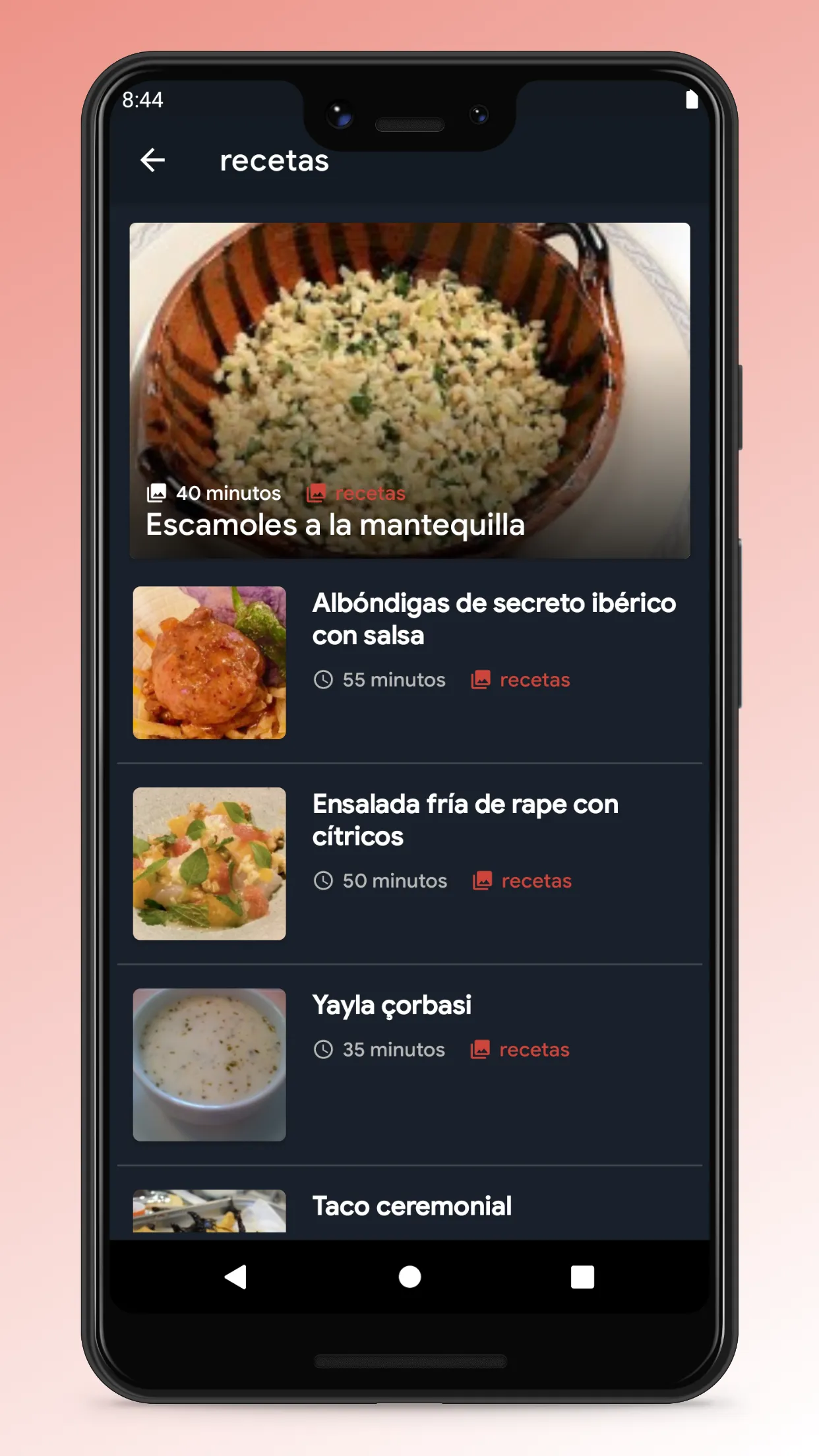 Mexican Recipes - Food App | Indus Appstore | Screenshot