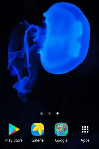 Jellyfish Wallpapers | Indus Appstore | Screenshot