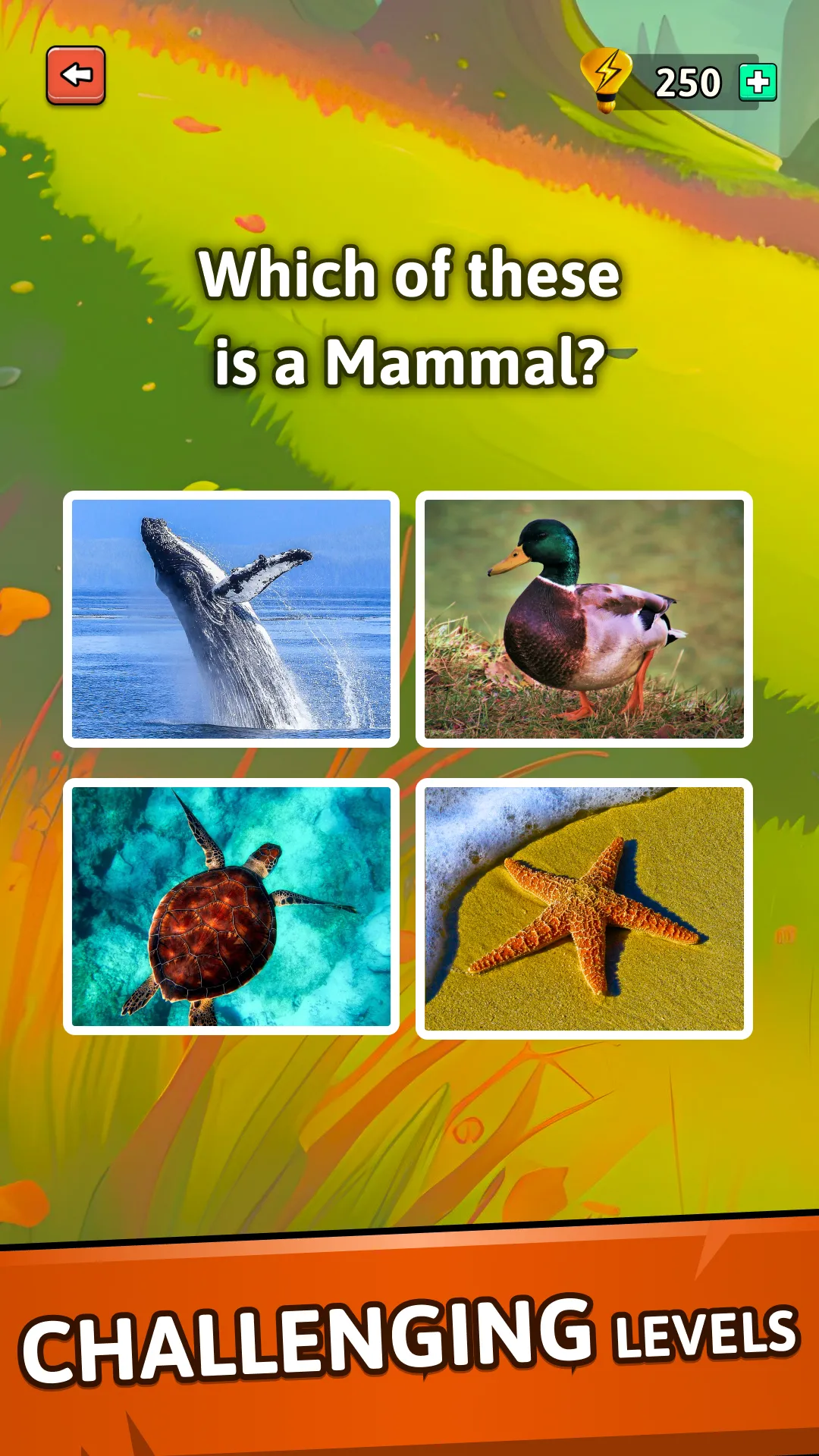 Animal Quiz Guess their Answer | Indus Appstore | Screenshot