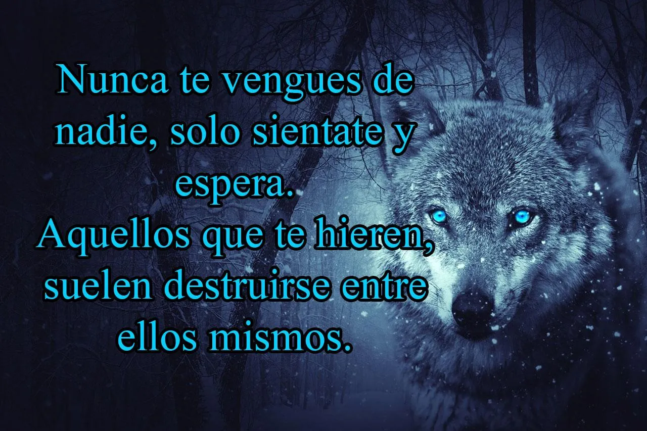 Frases y Reflexiones Hermosas | Indus Appstore | Screenshot