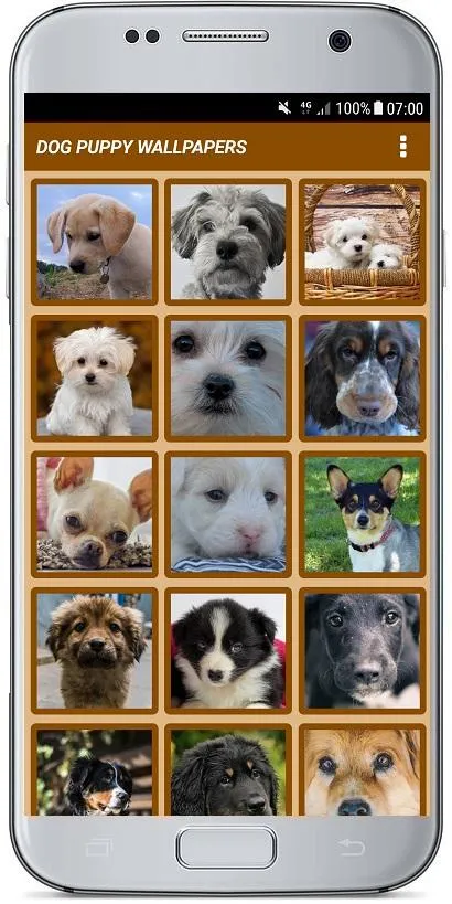 DOG PUPPY WALLPAPERS | Indus Appstore | Screenshot