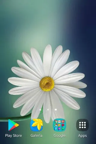 Daisy Wallpapers | Indus Appstore | Screenshot