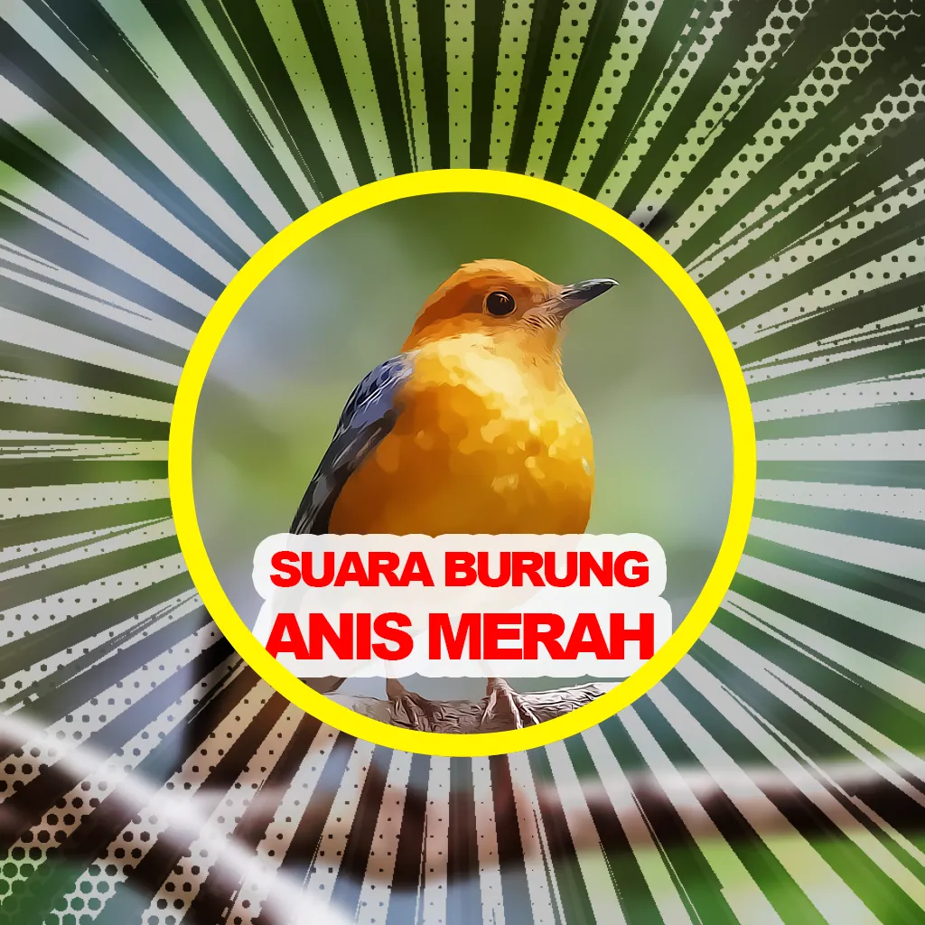 Suara Burung Anis Merah | Indus Appstore | Screenshot