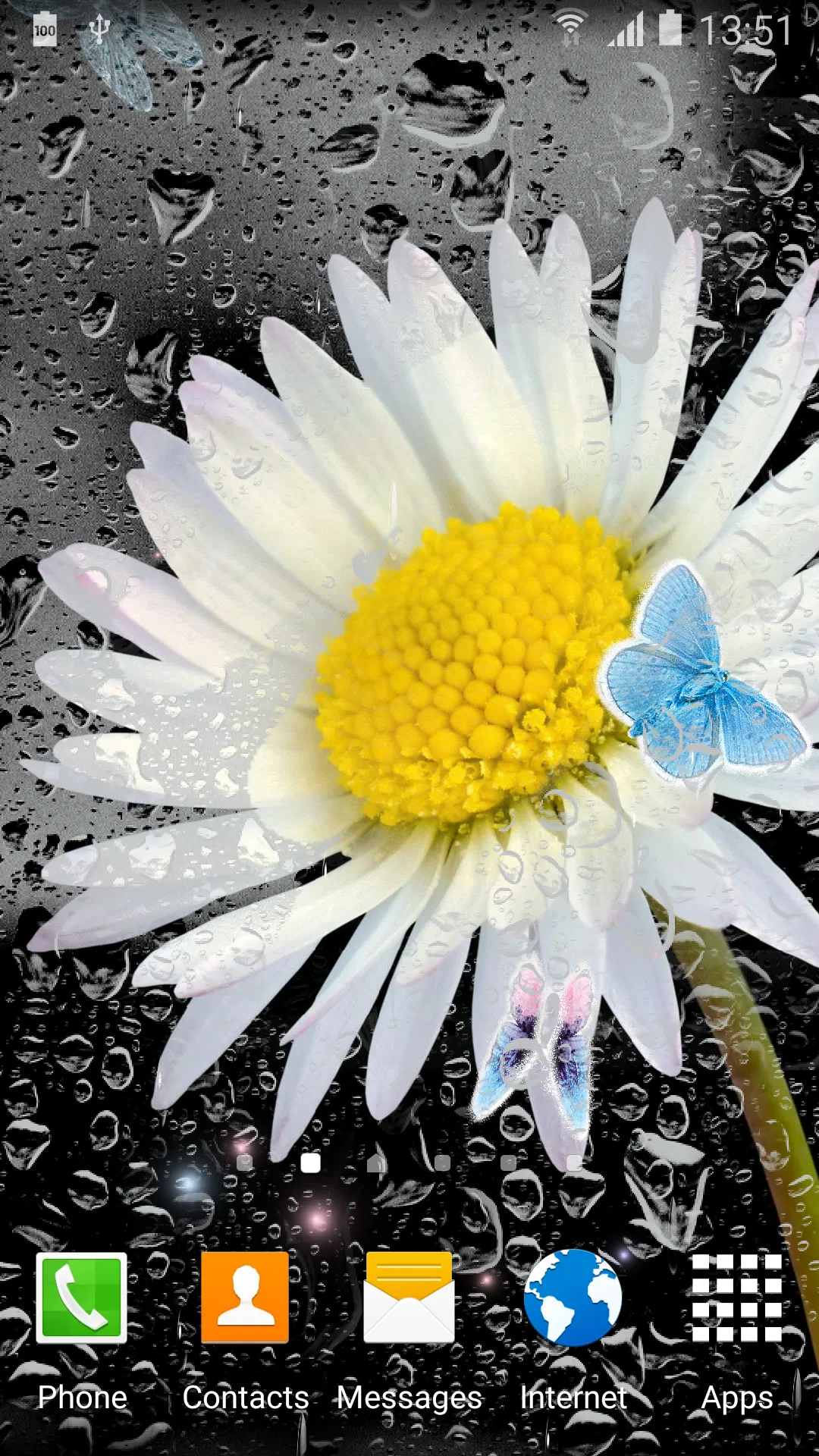 Daisies Flowers Live Wallpaper | Indus Appstore | Screenshot