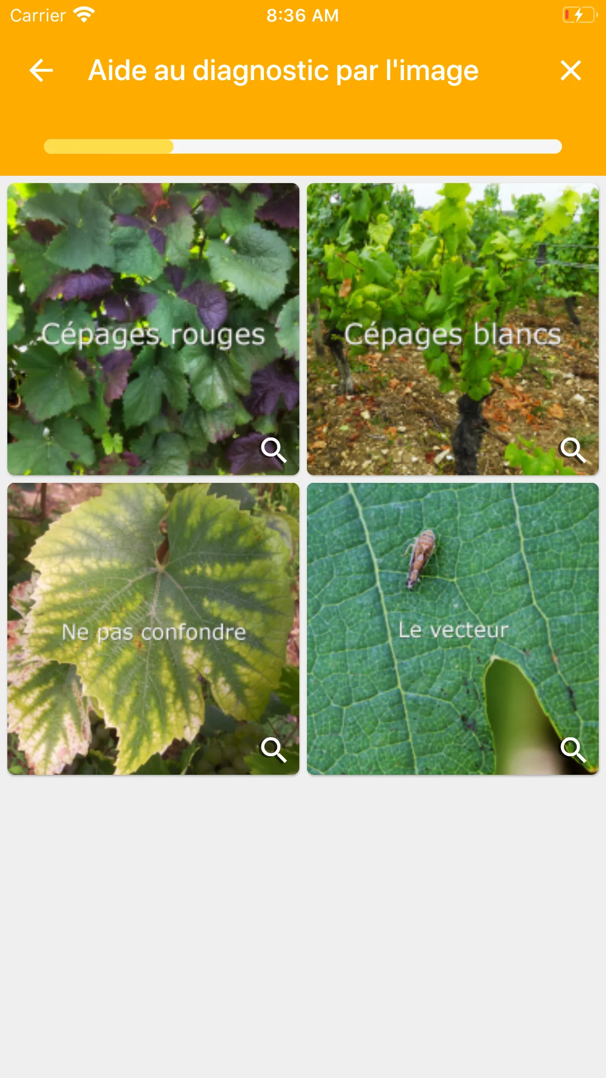 Vigie Bourgogne | Indus Appstore | Screenshot