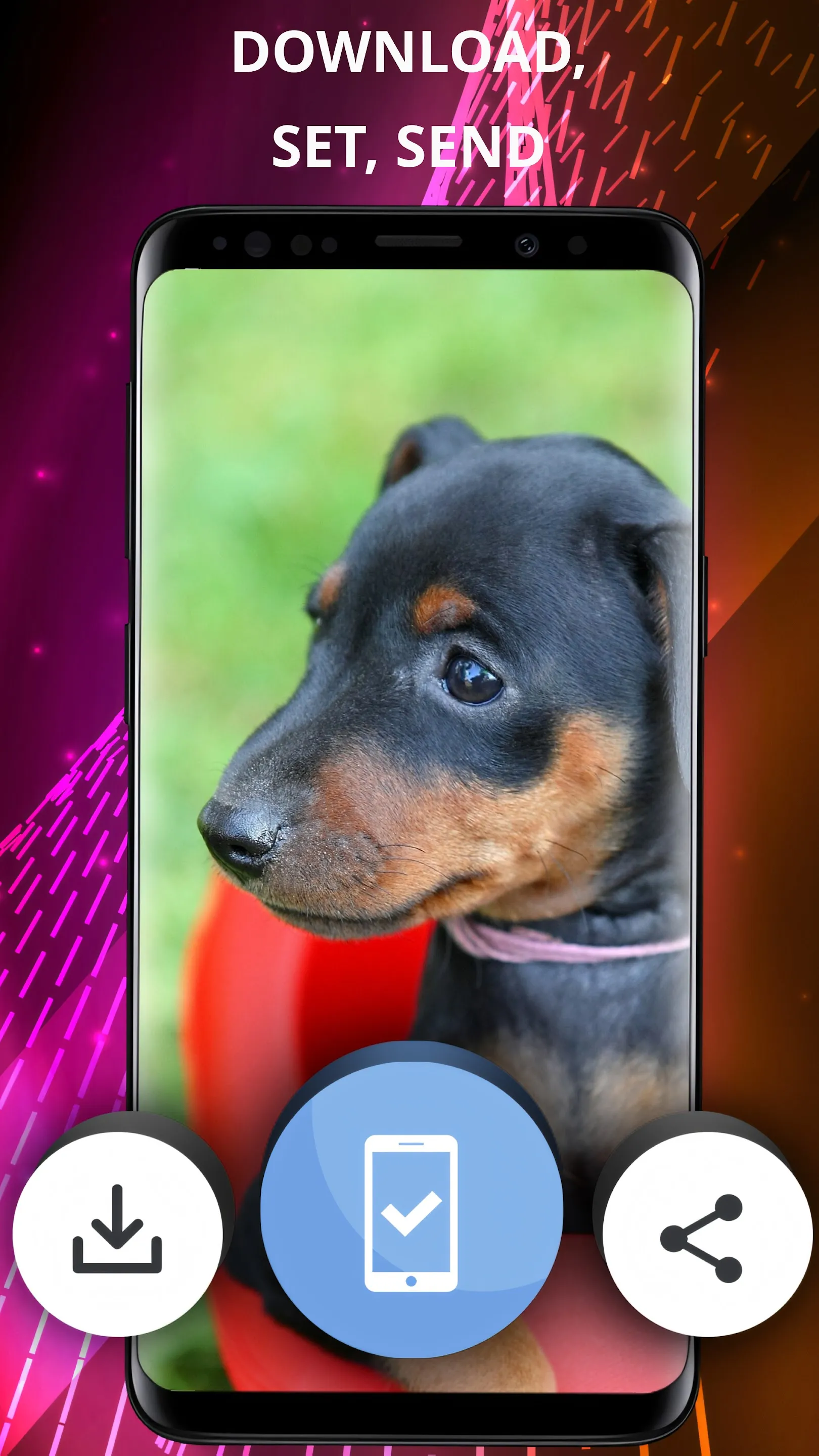 Dogs wallpapers for phone | Indus Appstore | Screenshot