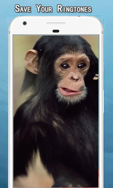 Monkey Sounds Ringtone | Indus Appstore | Screenshot