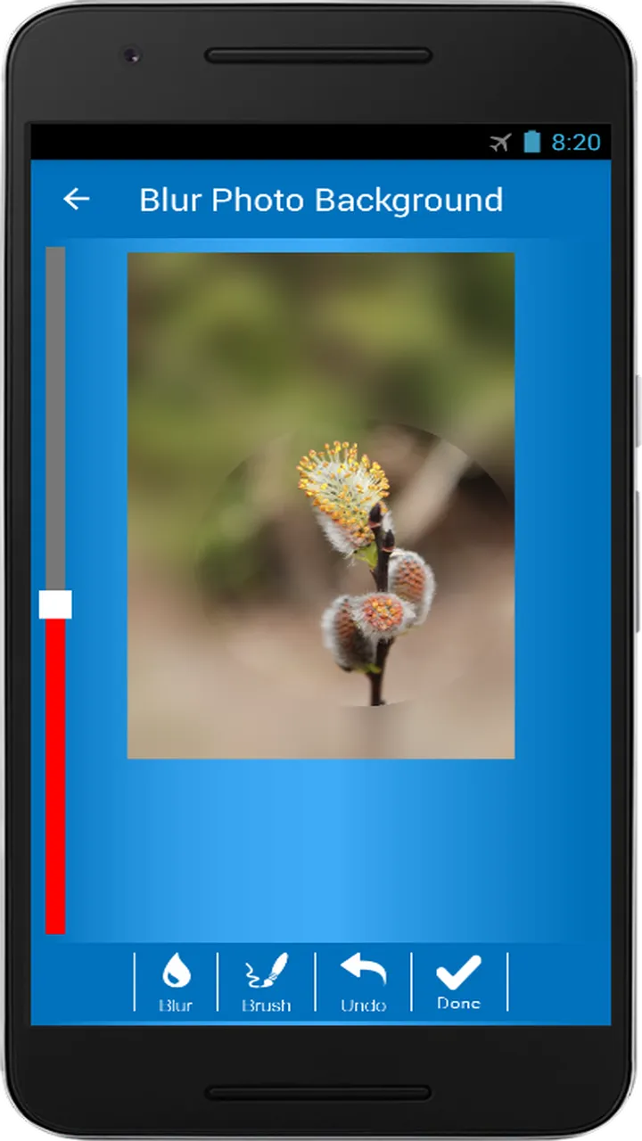 Blur Photo Background | Indus Appstore | Screenshot