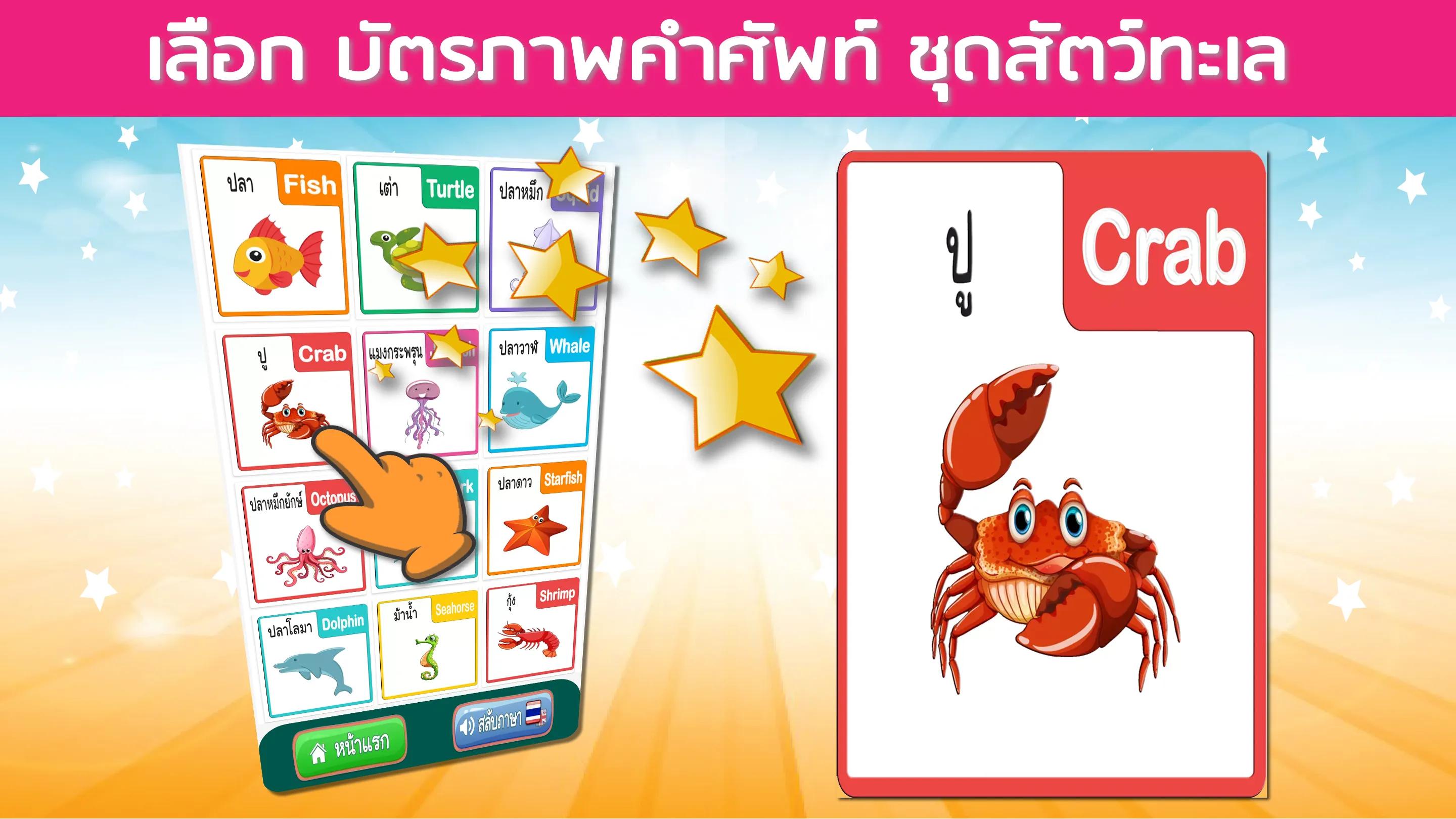 บัตรคำศัพท์ สัตว์ ผลไม้ รูปทรง | Indus Appstore | Screenshot