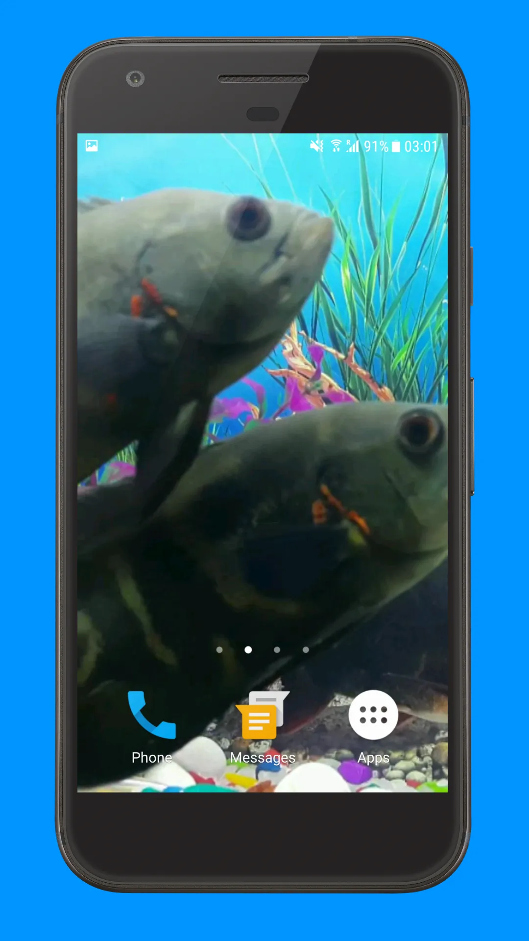 Oscar Fish Aquarium Video 3D | Indus Appstore | Screenshot