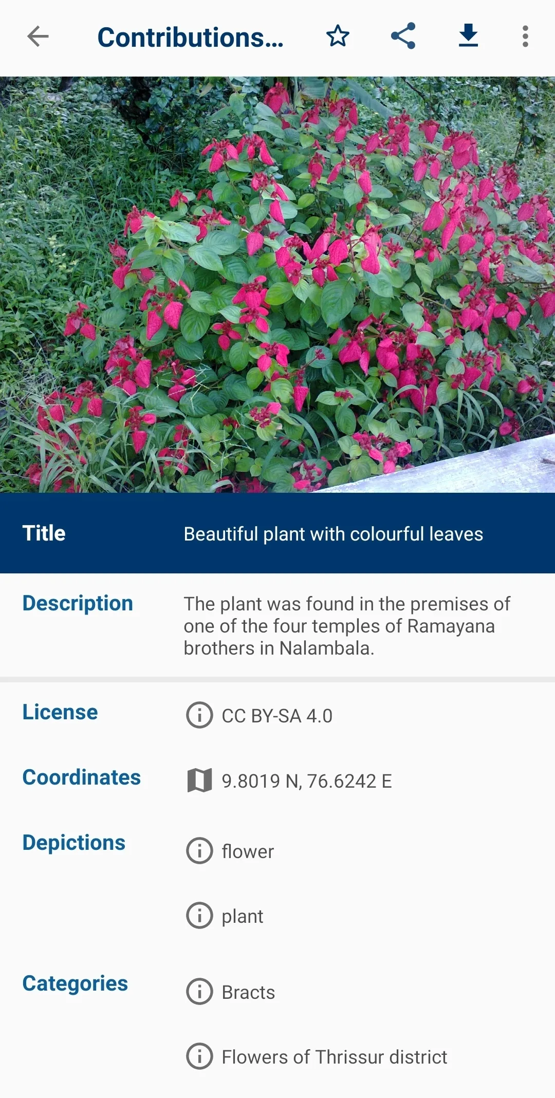 Wikimedia Commons | Indus Appstore | Screenshot