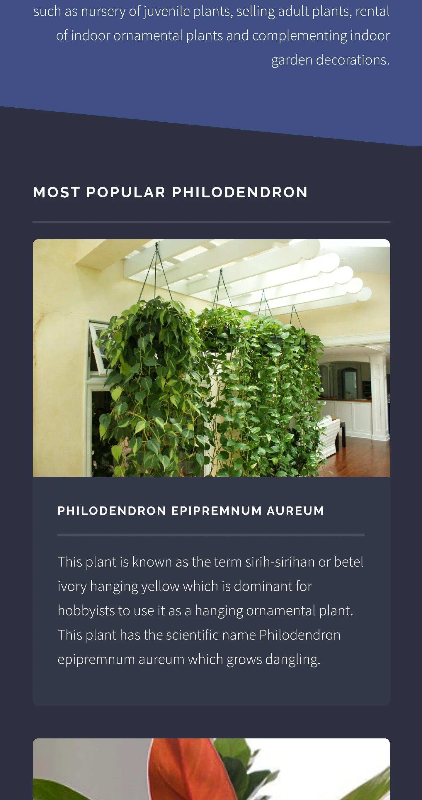 Philodendron Plant Guide | Indus Appstore | Screenshot