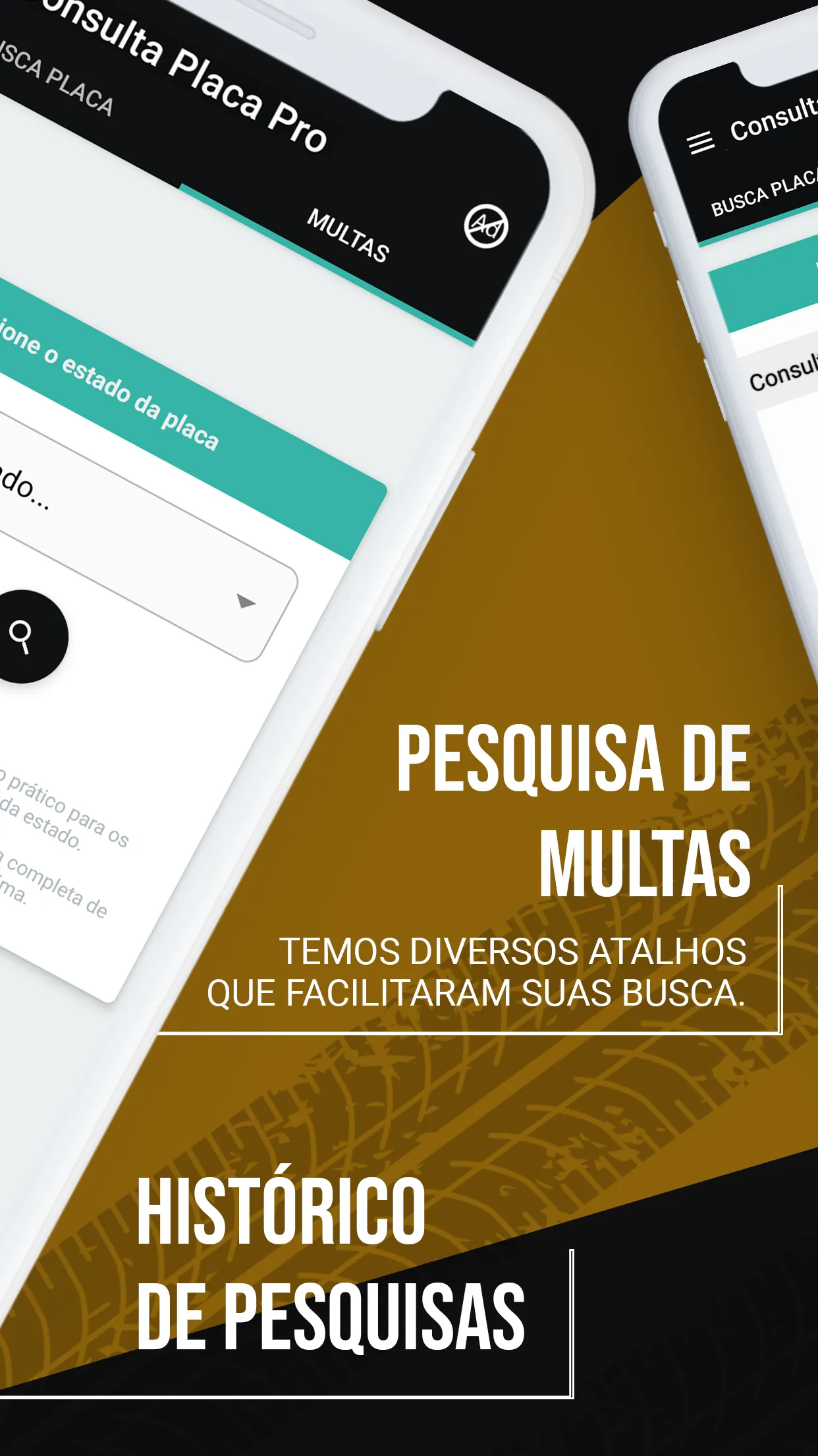 Placas Pro Consultas Veicular | Indus Appstore | Screenshot