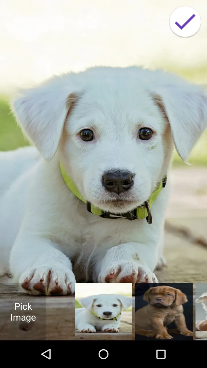 Cute Puppy Lock Screen | Indus Appstore | Screenshot